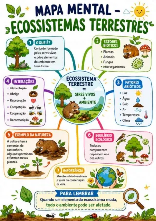Capa de Ecossistema